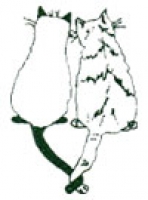 Cats Anonymous Rescue & Adoption's Logo'