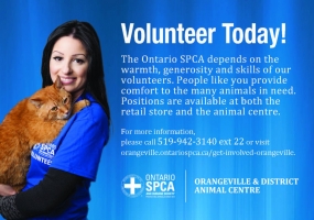 Ontario SPCA Orangeville and District Animal Center's Logo'